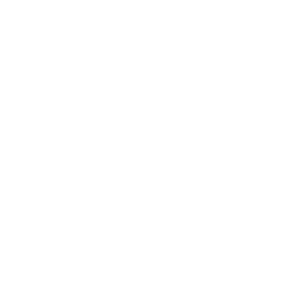 logo css