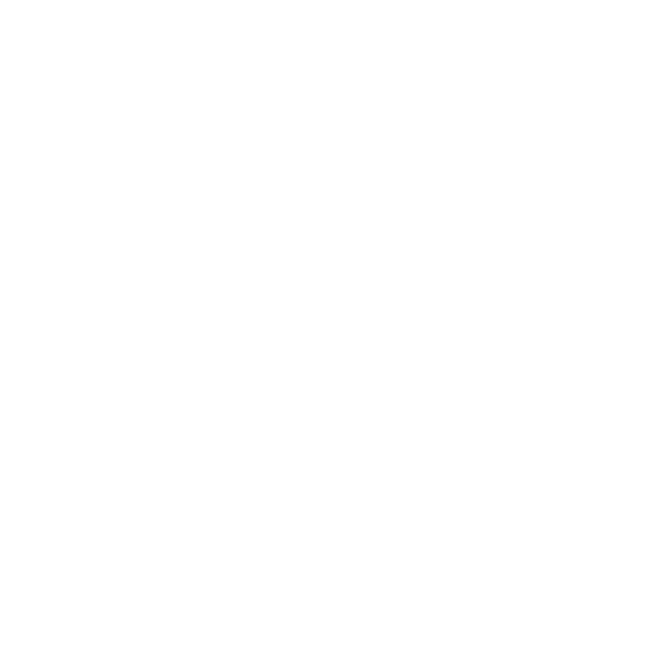 logo magento